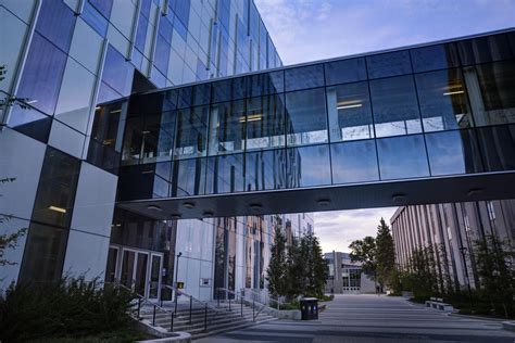d2l ufc|ucalgary d2l.